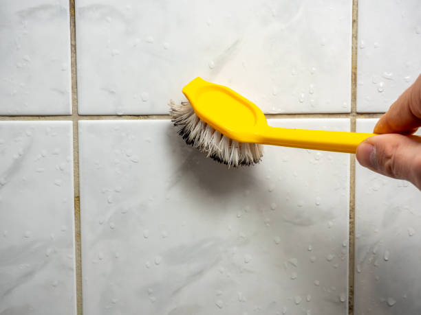 Best Mold Removal and Inspection  in Seabrook, TX